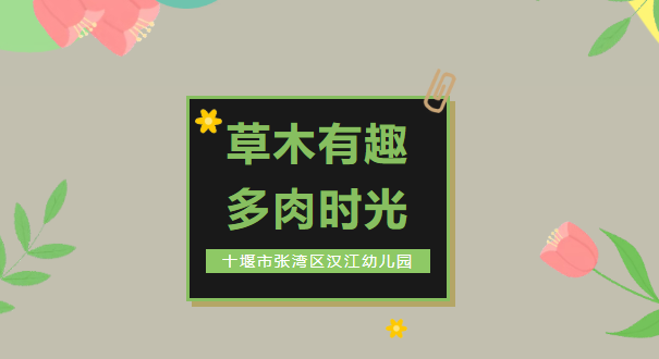 【汉幼•家园共育】草木有趣•多肉时光——汉江幼儿园第六十期家长进课堂活动